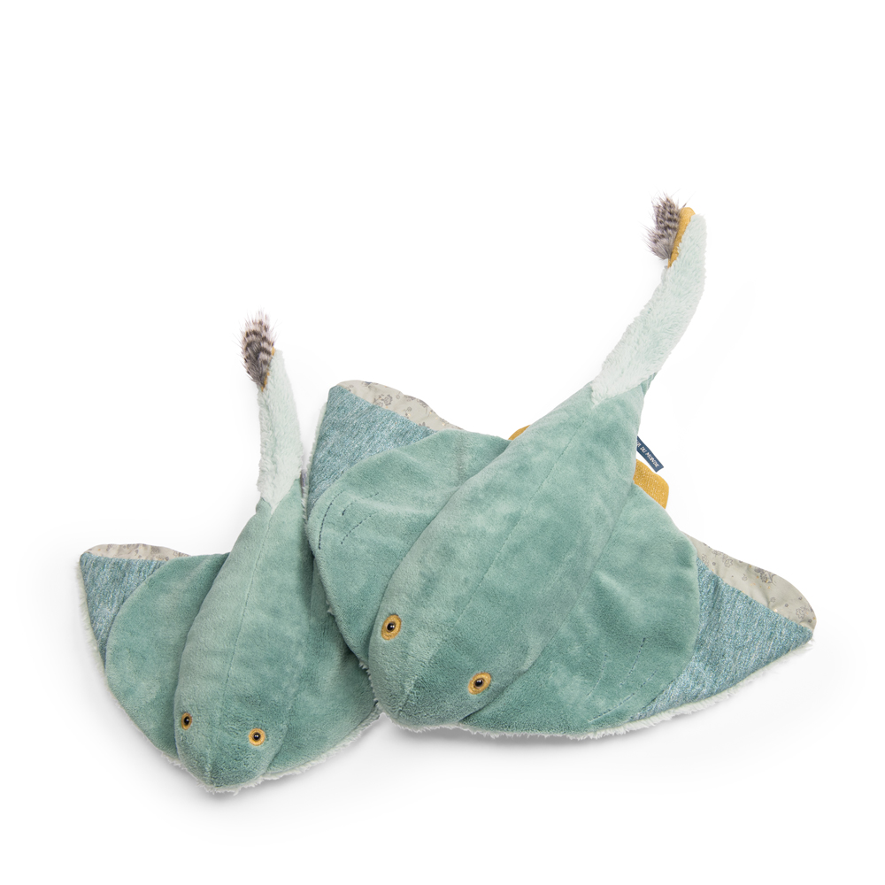 Manta Raya PequeñaTout Autour du Monde