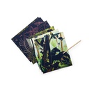 Scratch Art Cards - Tout Autour du Monde